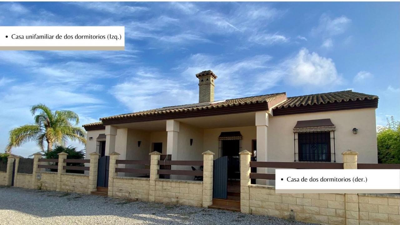 Arco Casas Adosadas